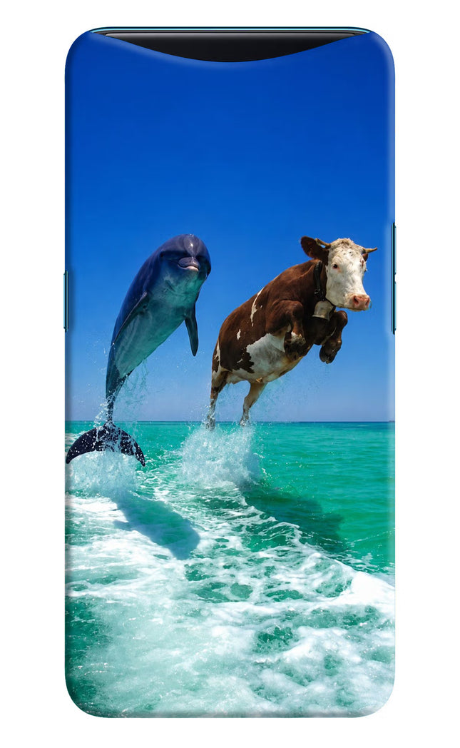 Dolphin vs Cow Oppo Find X Hard Case Back Cover by Casekaro