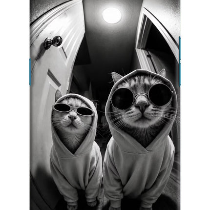 Hood Cats Oppo Find X Hard Case Back Cover by Casekaro