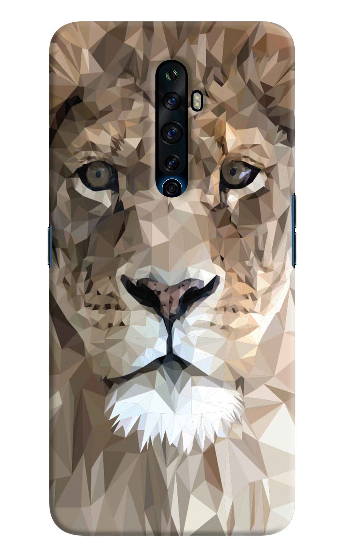 Lion Art Oppo Reno2 Z Hard Case Back Cover by Casekaro