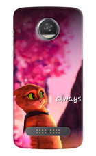 Always Cat Moto Z2 Play Hard Case Back Cover by Casekaro
