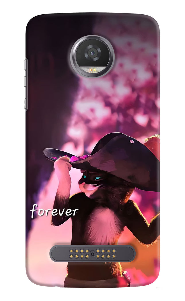 Forever Cat Moto Z2 Play Hard Case Back Cover by Casekaro