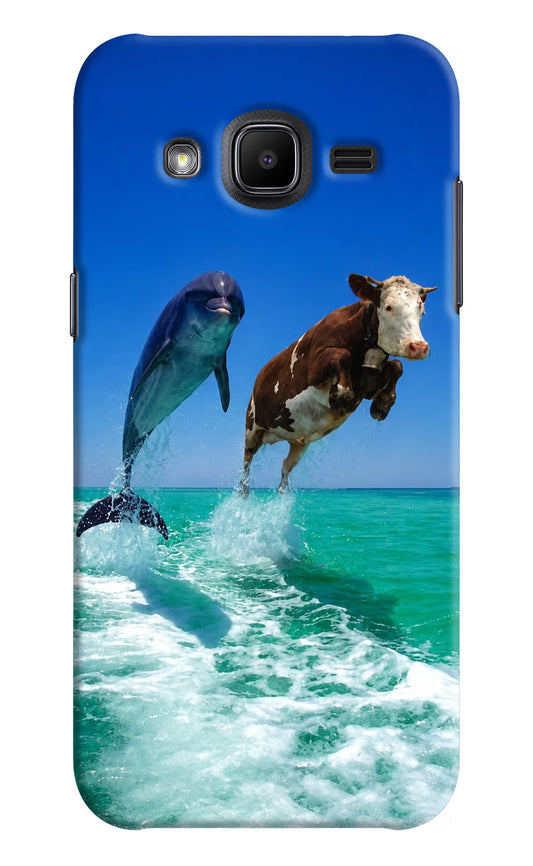 Dolphin vs Cow Samsung J2 2017 Hard Case Back Cover by Casekaro