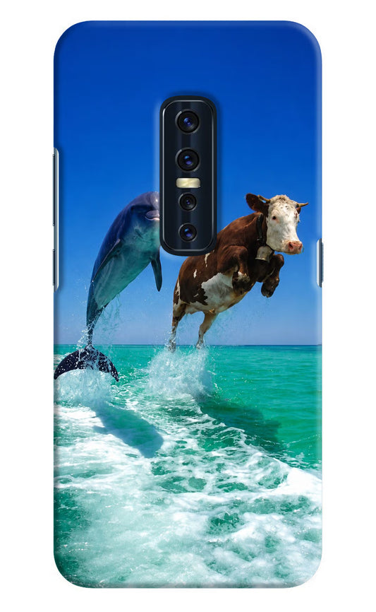 Dolphin vs Cow Vivo V17 Pro Hard Case Back Cover by Casekaro