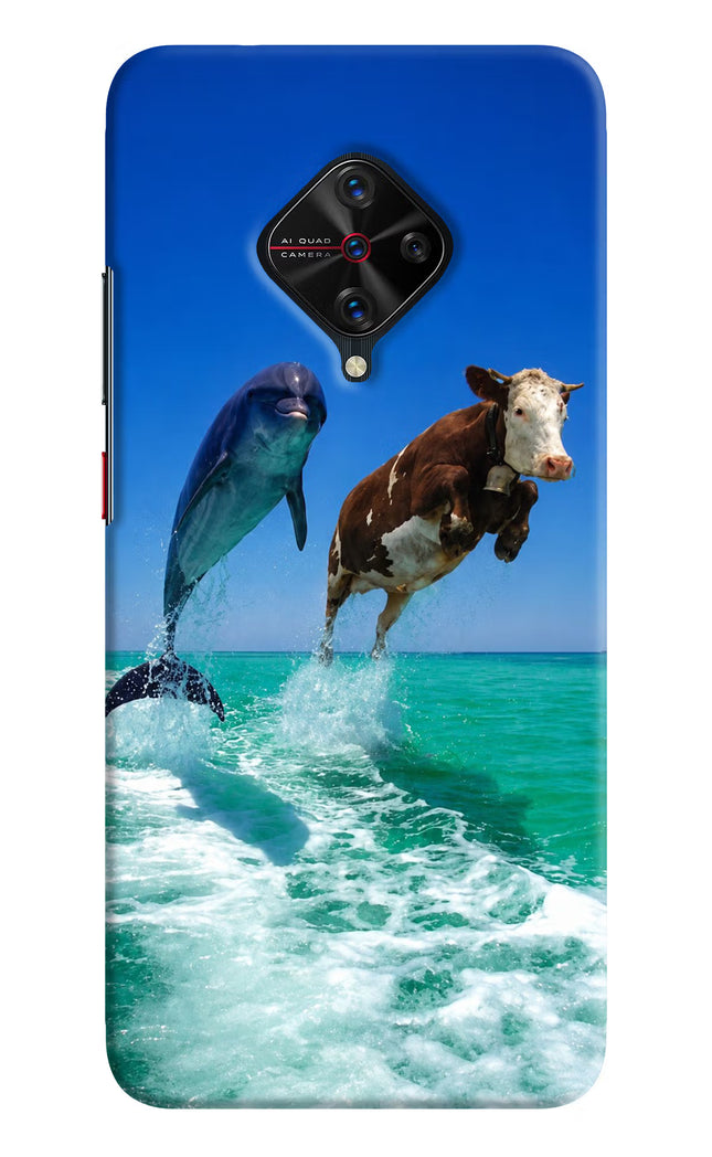 Dolphin vs Cow Vivo S1 Pro Hard Case Back Cover by Casekaro