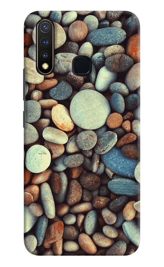 Pebble Vivo Y19/U20 Hard Case Back Cover by Casekaro