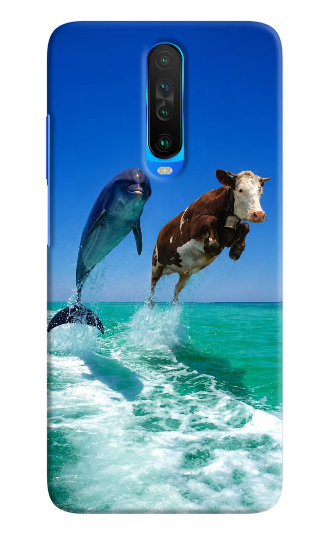 Dolphin vs Cow Poco X2 Hard Case Back Cover by Casekaro