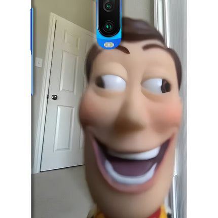 Side Eye Woody Poco X2 Hard Case Back Cover by Casekaro