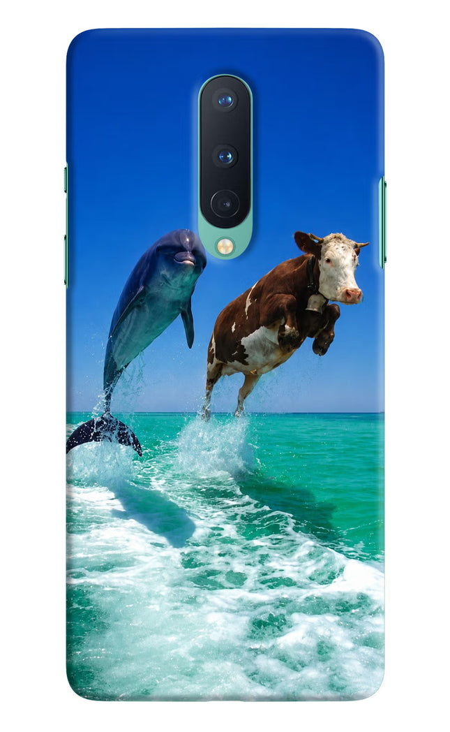Dolphin vs Cow Oneplus 8 Hard Case Back Cover by Casekaro
