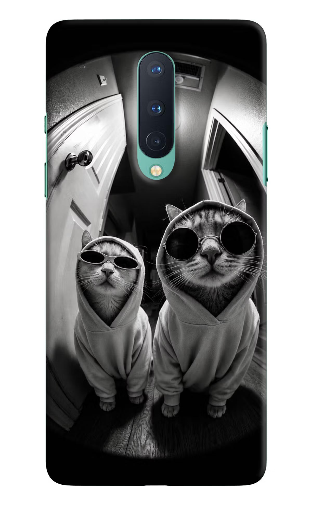 Hood Cats Oneplus 8 Back Cover