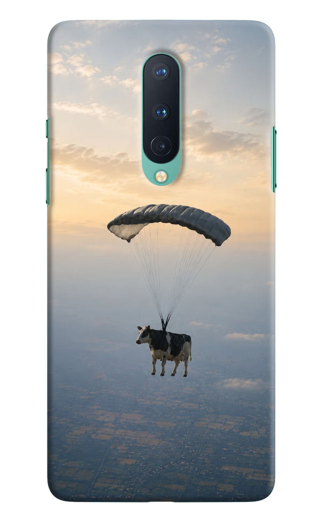 Skydiving Cow Oneplus 8 Hard Case Back Cover by Casekaro