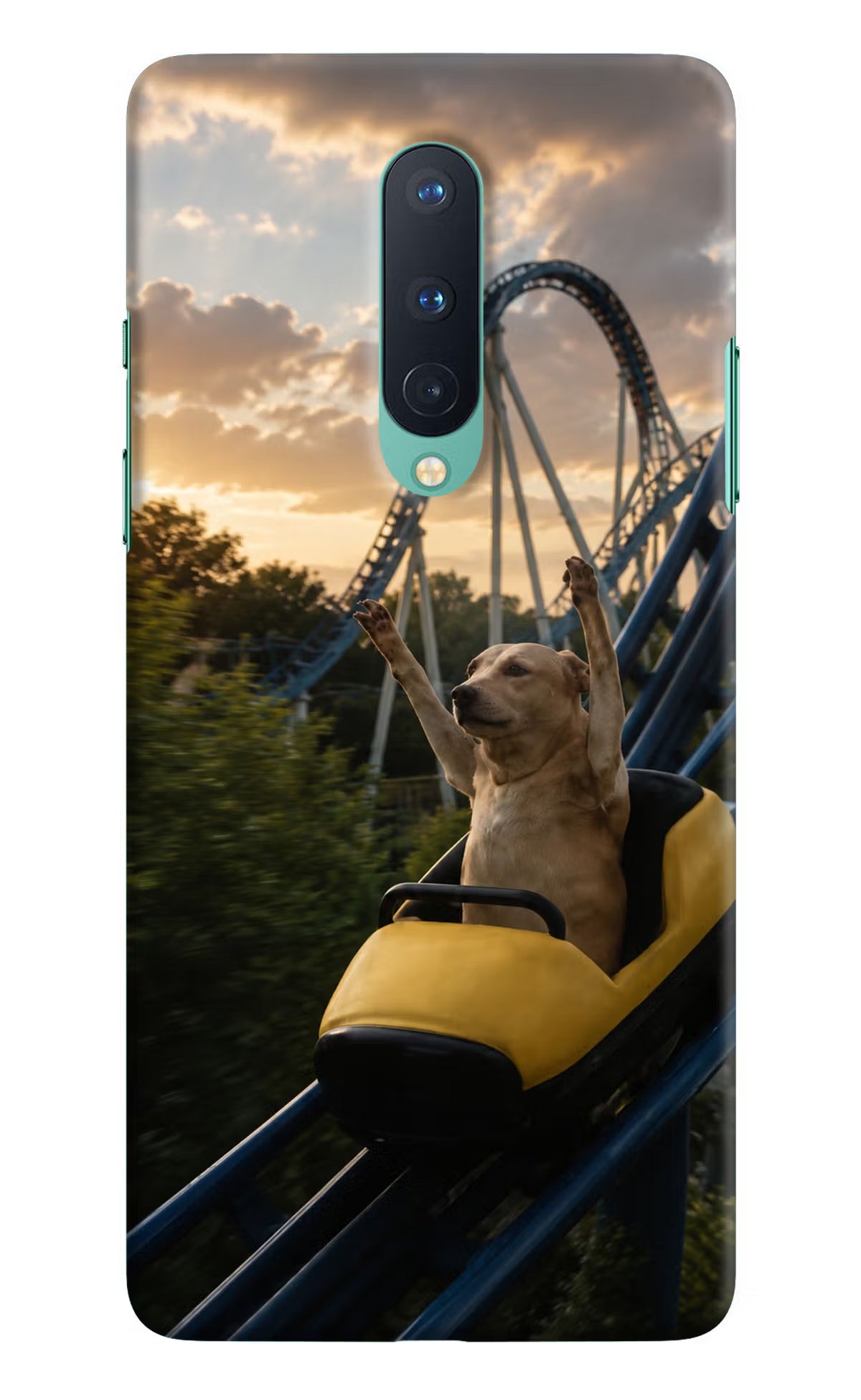 Rollercoaster Dog Oneplus 8 Back Cover