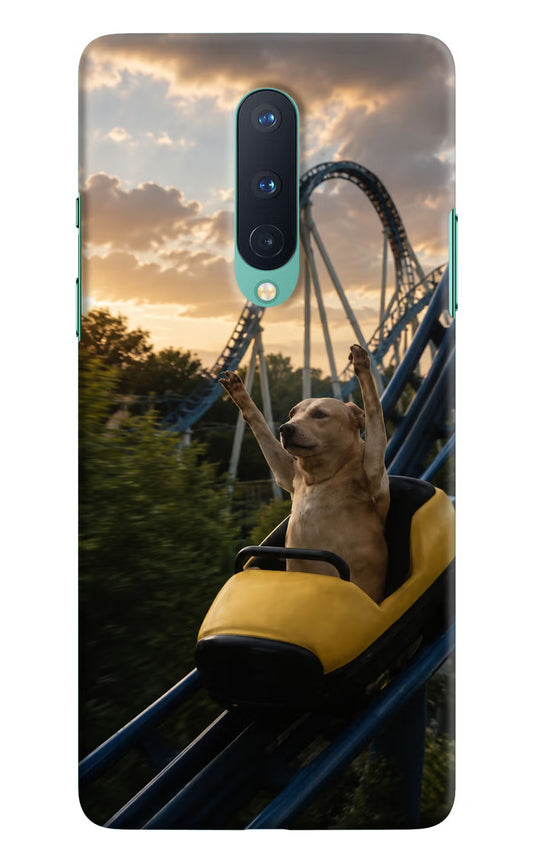 Rollercoaster Dog Oneplus 8 Hard Case Back Cover by Casekaro