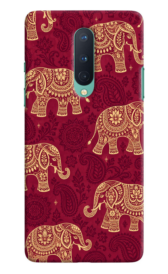 Maroon Elephant Oneplus 8 Back Cover