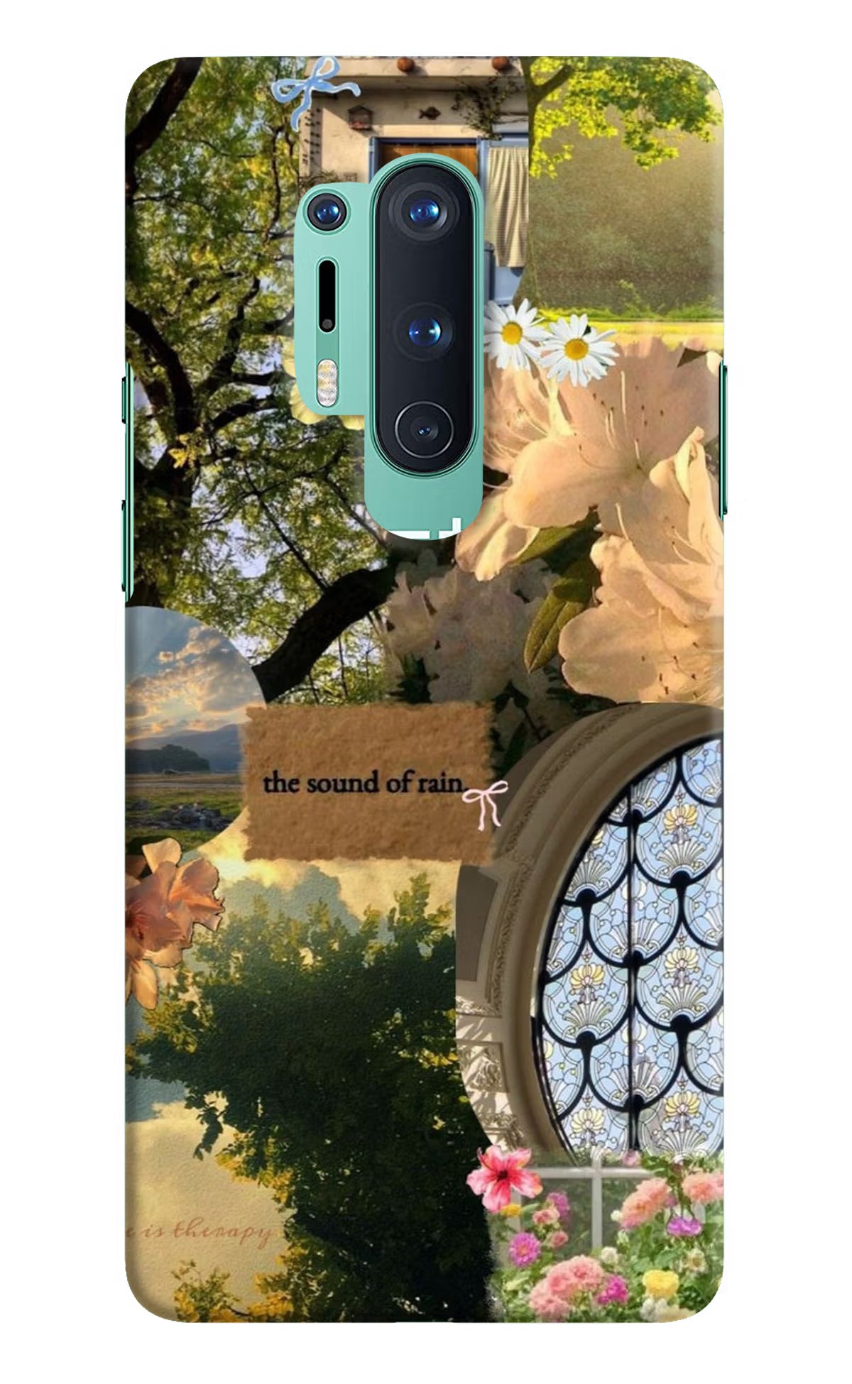 Rain Oneplus 8 Pro Back Cover
