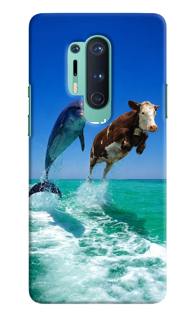 Dolphin vs Cow Oneplus 8 Pro Hard Case Back Cover by Casekaro