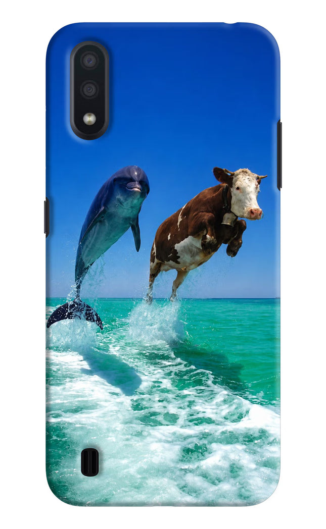 Dolphin vs Cow Samsung M01 Hard Case Back Cover by Casekaro