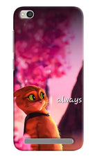 Always Cat Redmi 5A Hard Case Back Cover by Casekaro