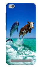 Dolphin vs Cow Redmi 5A Hard Case Back Cover by Casekaro
