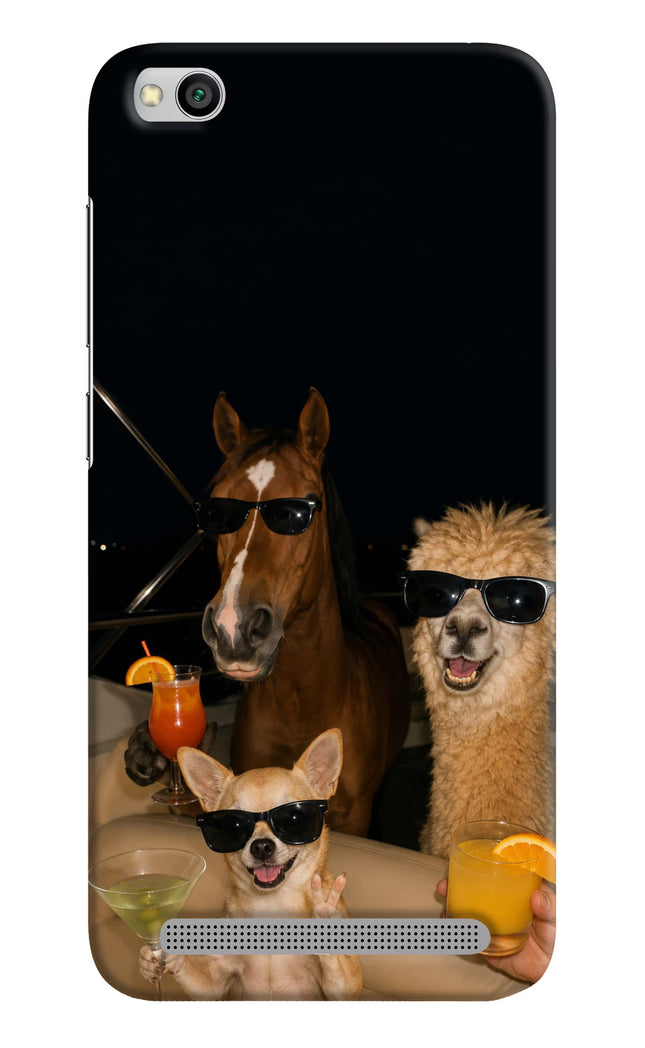 Party Squad Redmi 5A Hard Case Back Cover by Casekaro
