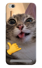 Silly Cat Call Redmi 5A Hard Case Back Cover by Casekaro