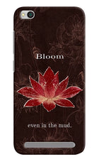 Bloom Redmi 5A Hard Case Back Cover by Casekaro
