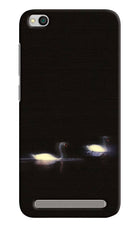 Silent Swans Redmi 5A Hard Case Back Cover by Casekaro