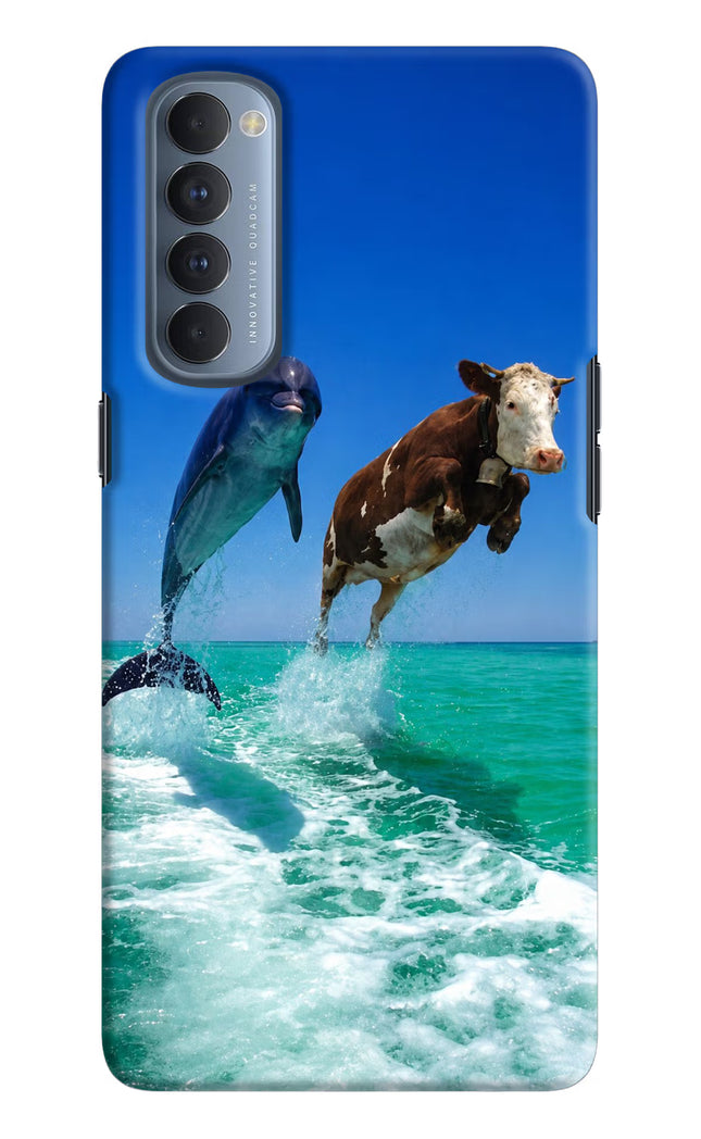 Dolphin vs Cow Oppo Reno4 Pro Hard Case Back Cover by Casekaro