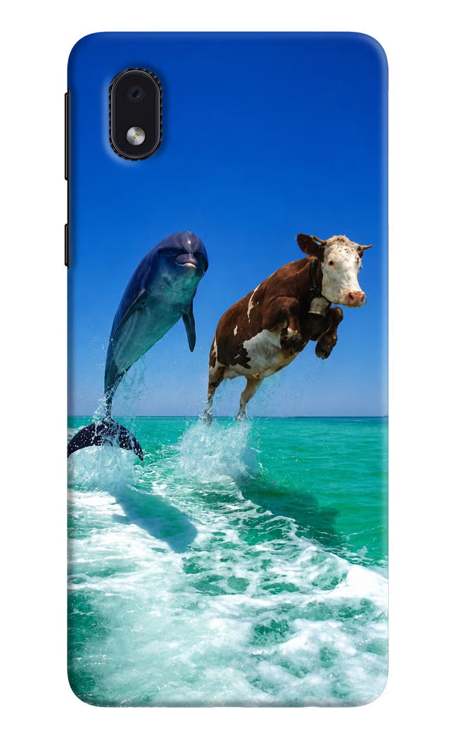 Dolphin vs Cow Samsung M01 Core Hard Case Back Cover by Casekaro