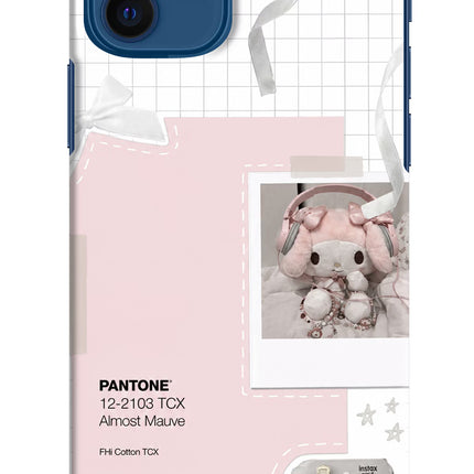 Pantone Asthetic iPhone 12 Hard Case Back Cover by Casekaro