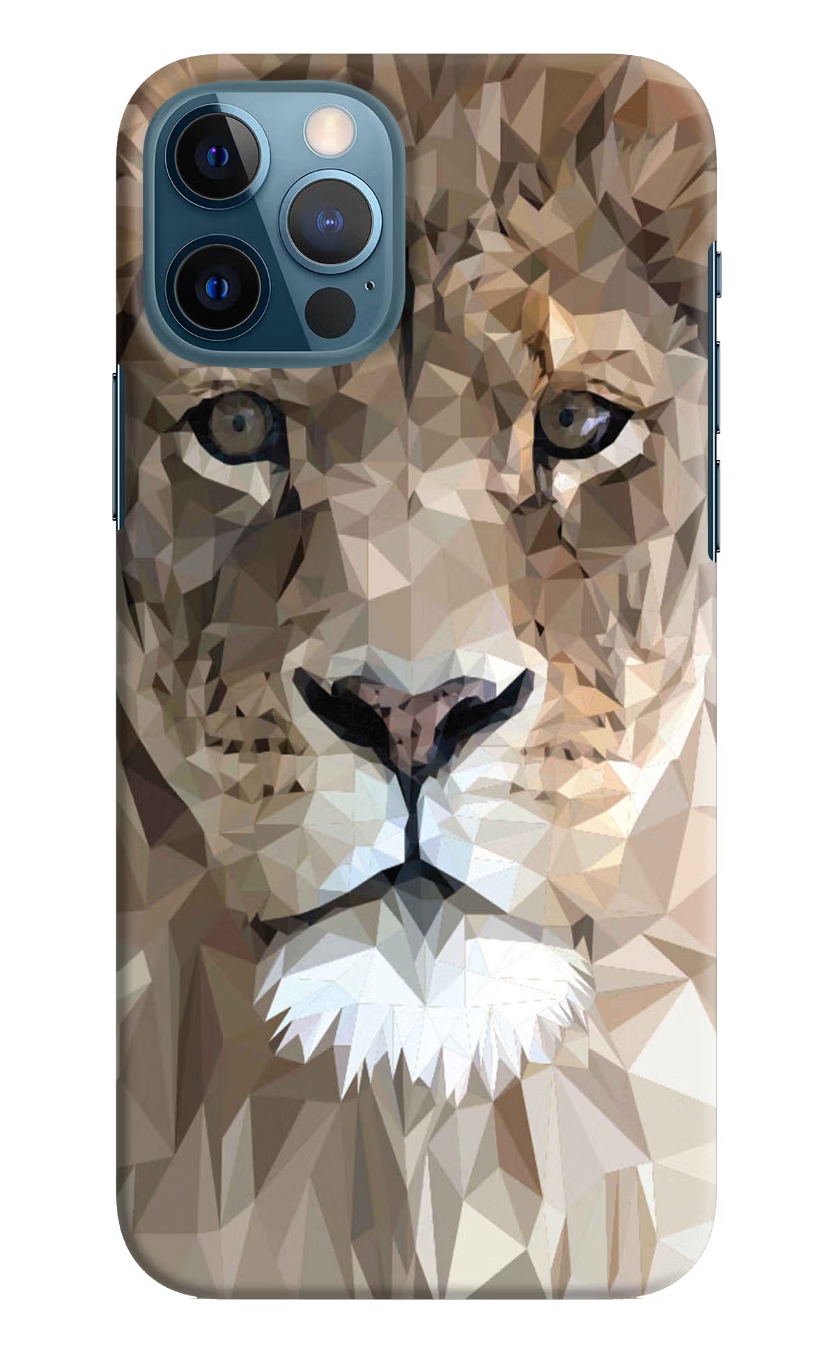 Lion Art iPhone 12 Pro Hard Case Back Cover by Casekaro