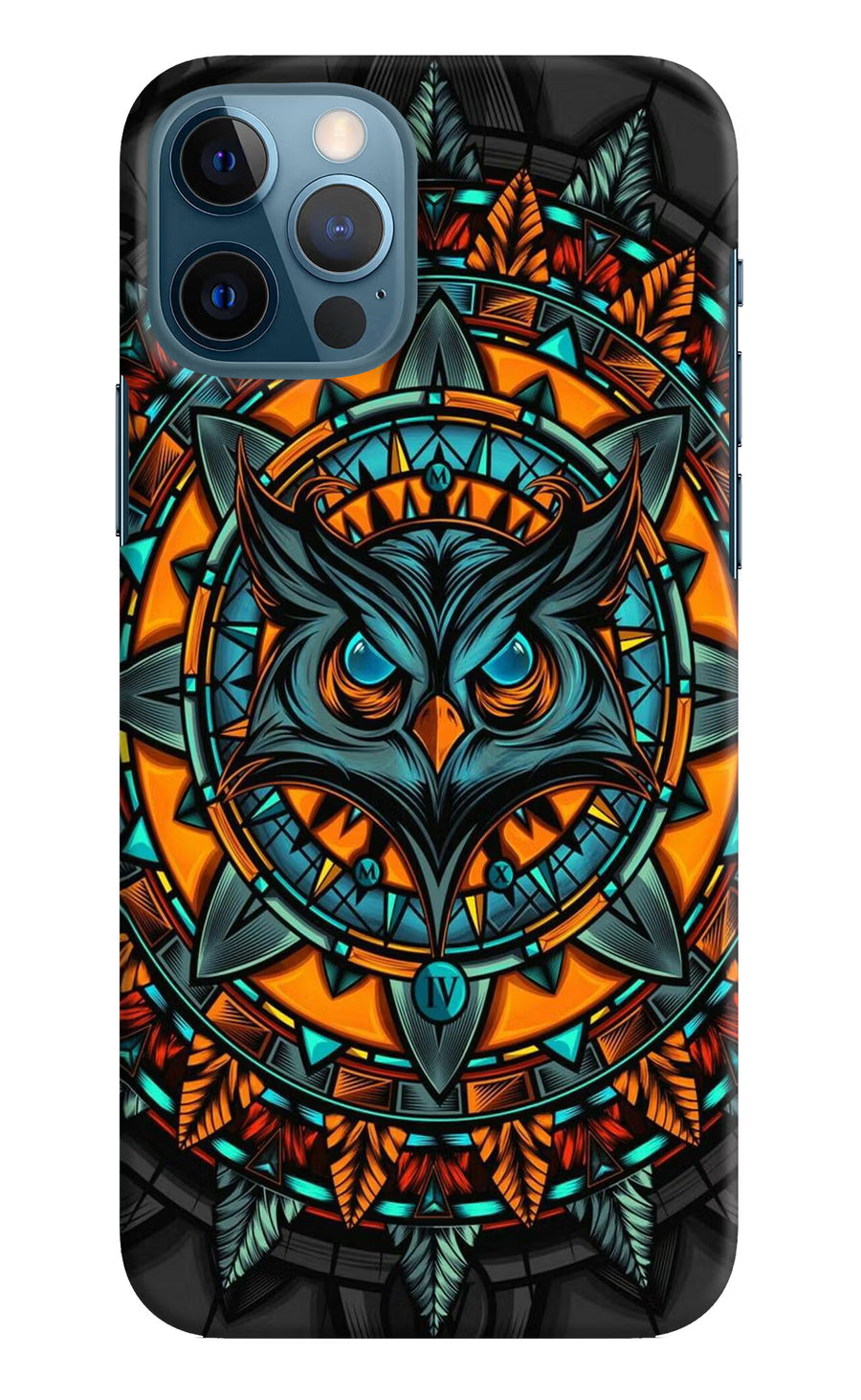 Angry Owl Art iPhone 12 Pro Back Cover, Hard case