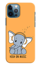 High On Music iPhone 12 Pro Hard Case Back Cover by Casekaro
