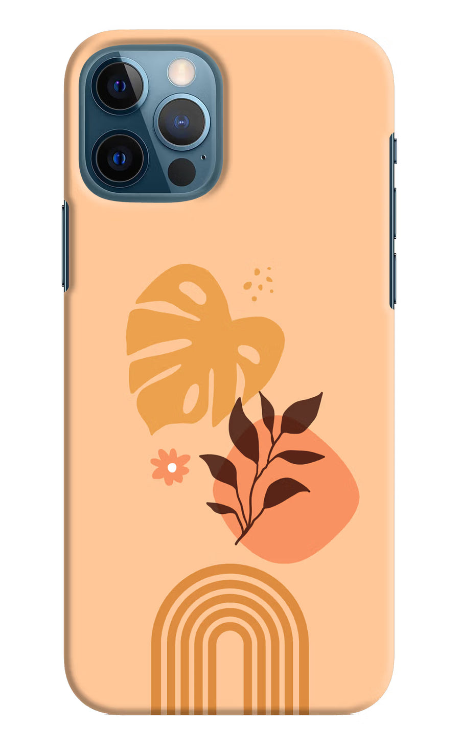 Bohemian Art iPhone 12 Pro Back Cover, Hard case