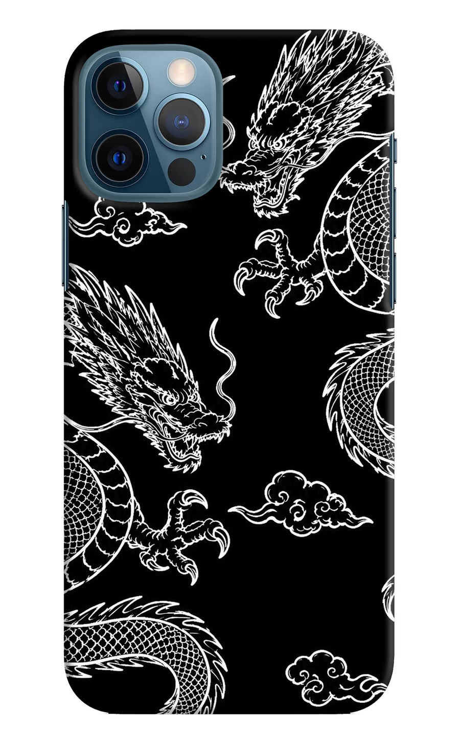 Twin Dragons iPhone 12 Pro Back Cover, Hard case