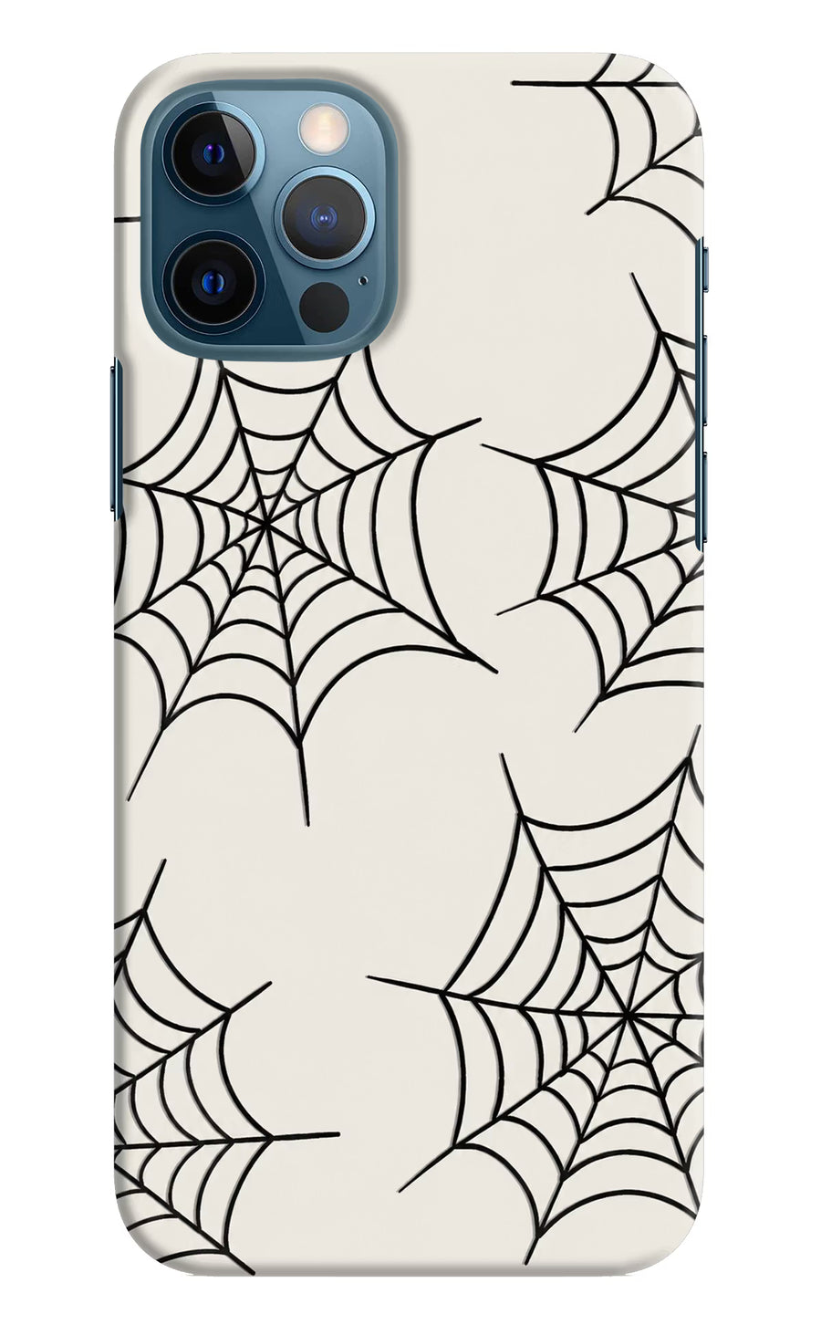 Spider Web iPhone 12 Pro Back Cover, Hard case
