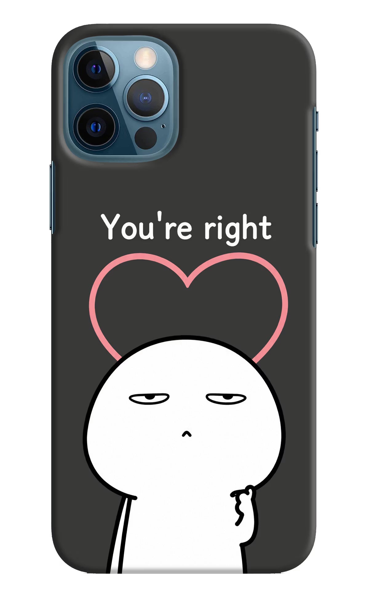 You're Right iPhone 12 Pro Back Cover