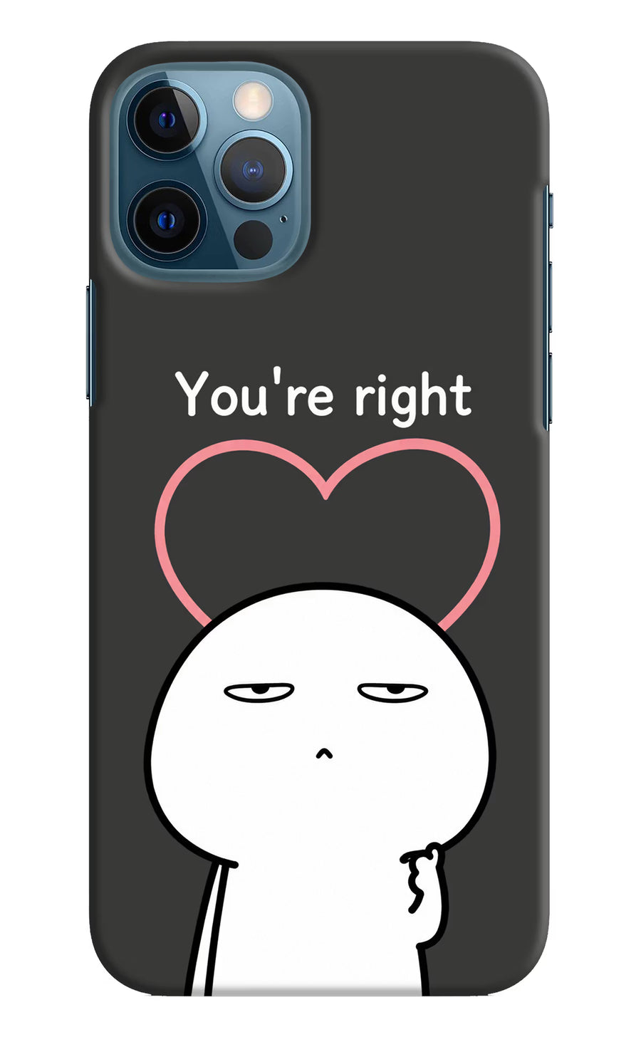 You're Right iPhone 12 Pro Back Cover, Hard case