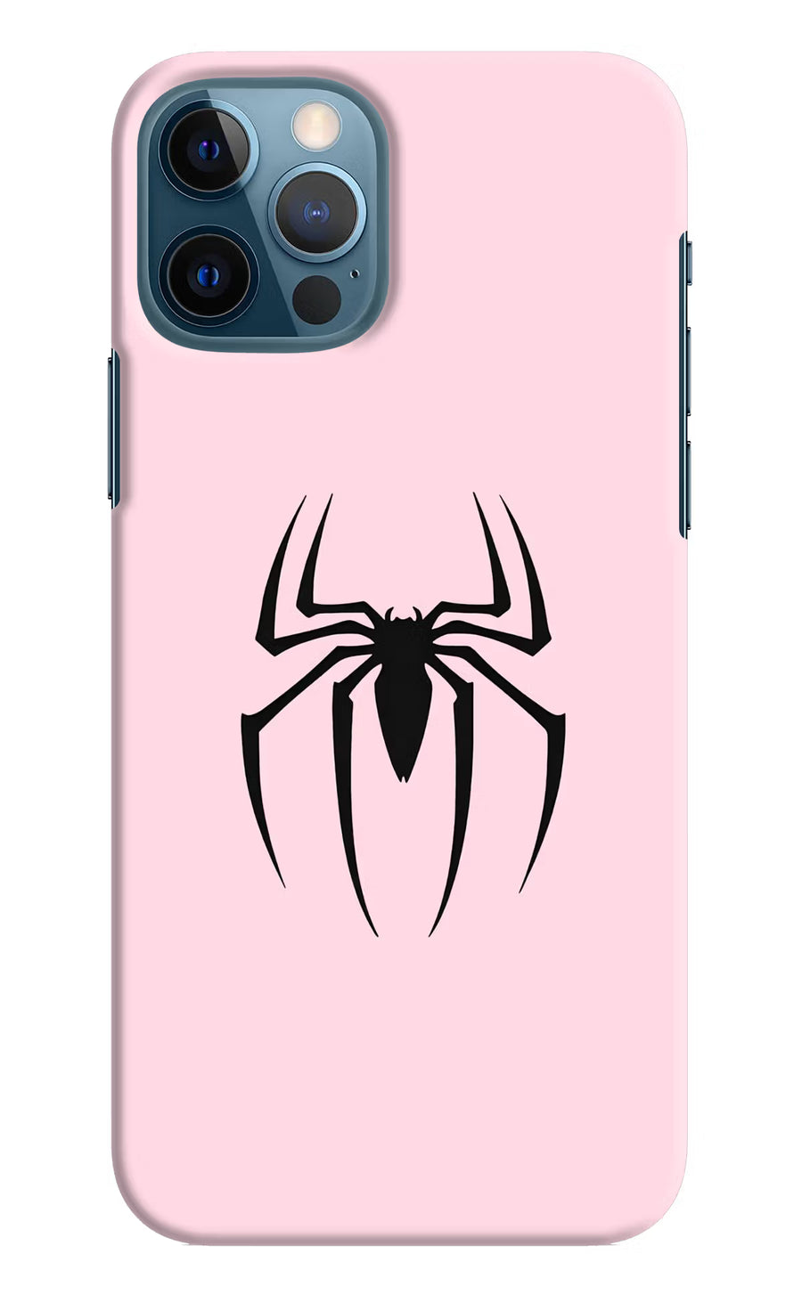Peter Symbol iPhone 12 Pro Back Cover, Hard case