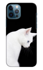 Snow Gaze iPhone 12 Pro Hard Case Back Cover by Casekaro