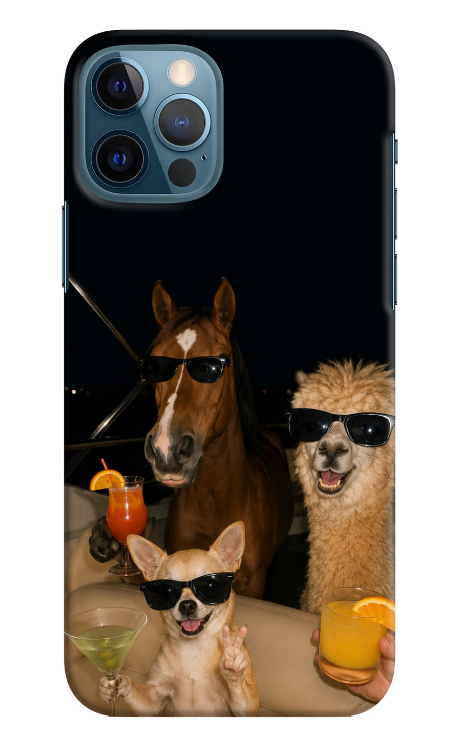 Party Squad iPhone 12 Pro Back Cover, Hard case