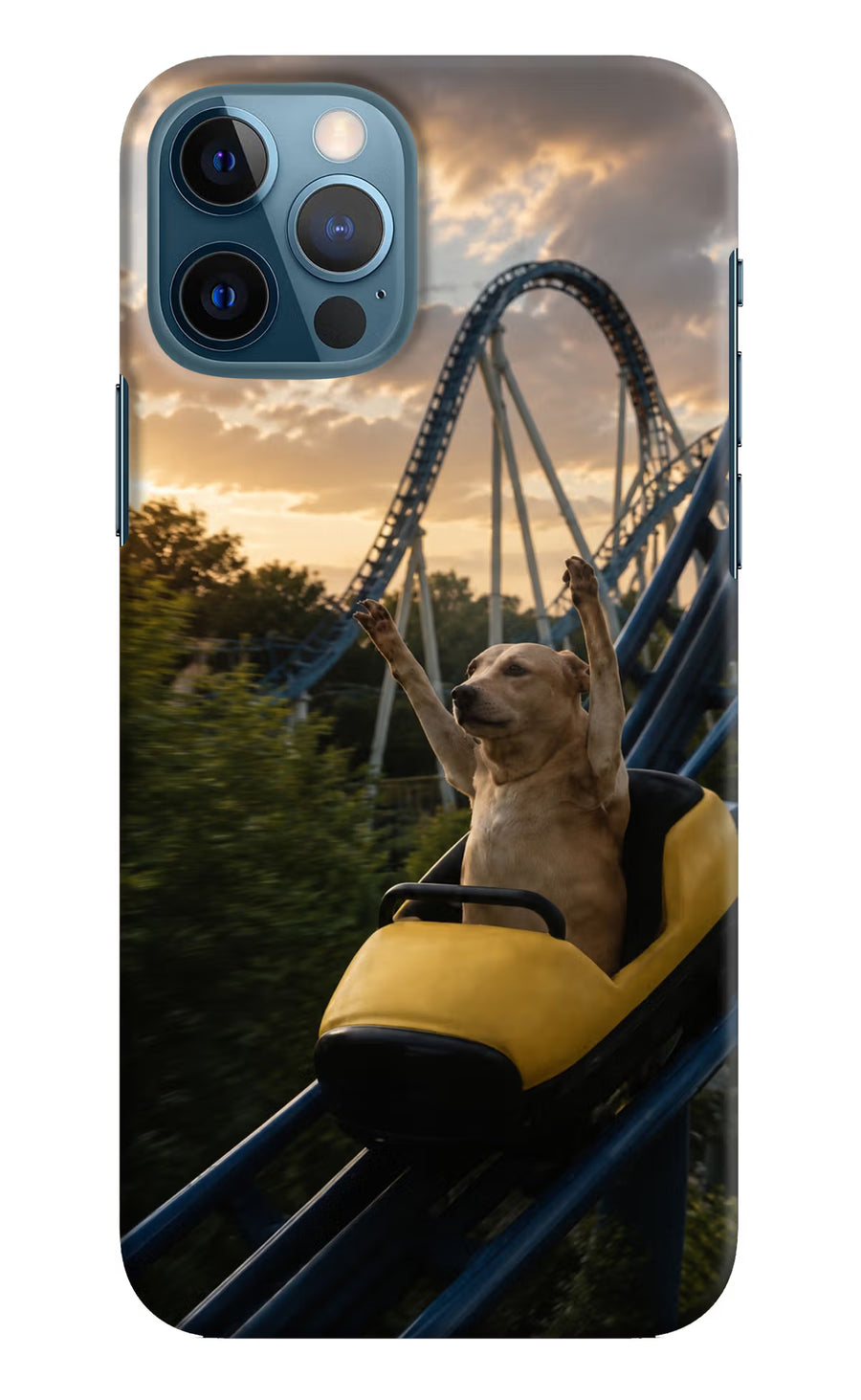 Rollercoaster Dog iPhone 12 Pro Back Cover, Hard case