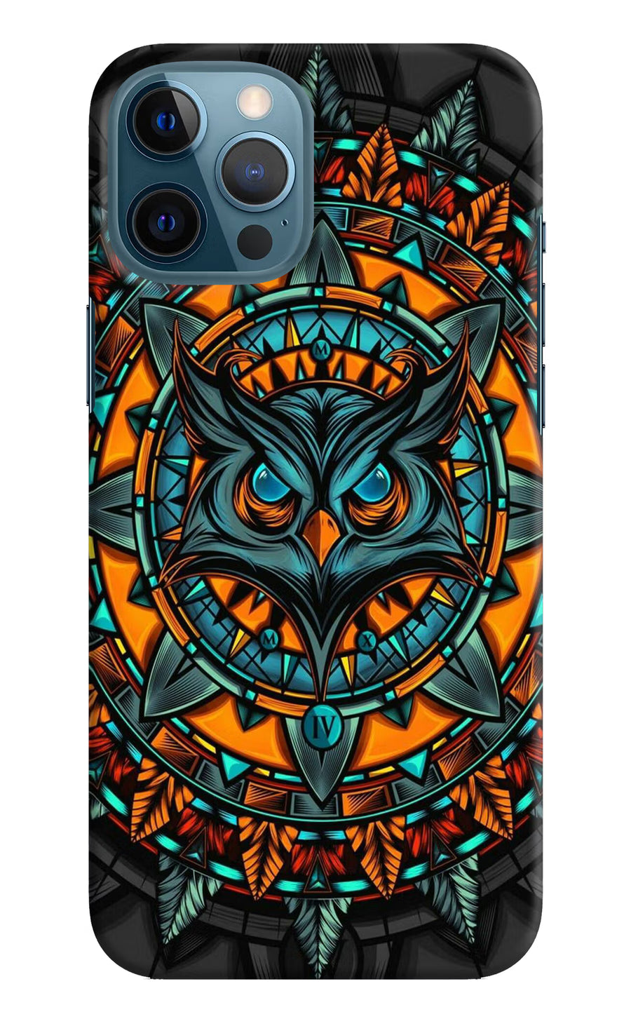 Angry Owl Art iPhone 12 Pro Max Back Cover, Hard case