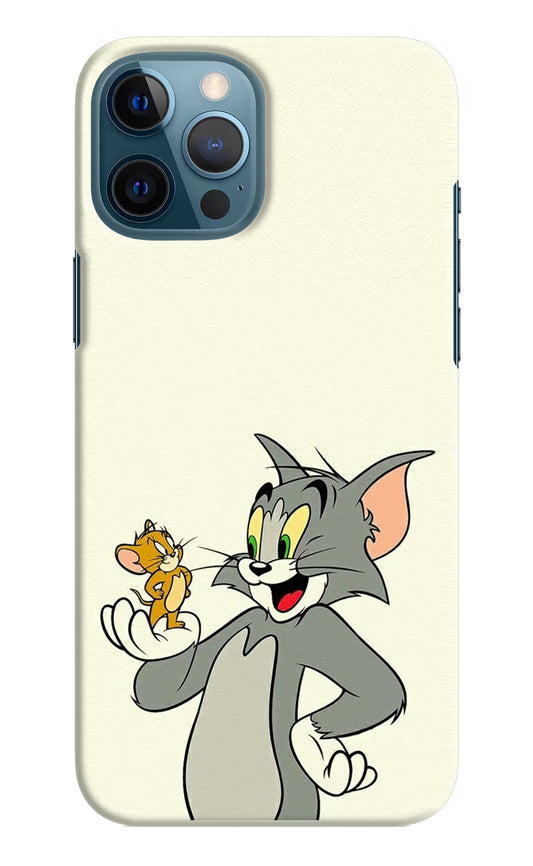 Tom & Jerry iPhone 12 Pro Max Hard Case Back Cover by Casekaro