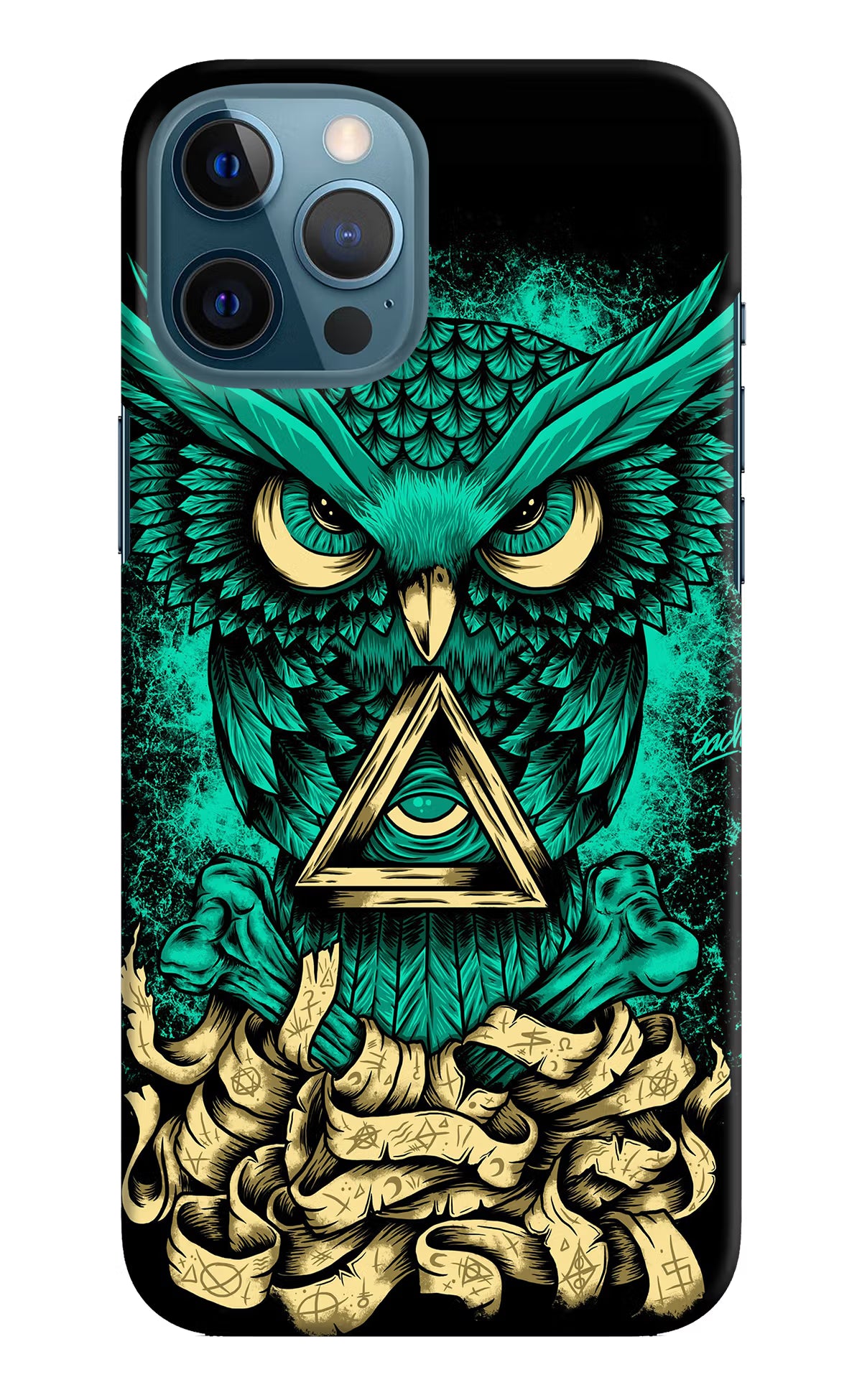 Green Owl iPhone 12 Pro Max Hard Case Back Cover by Casekaro