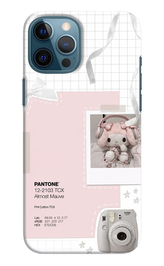 Pantone Asthetic iPhone 12 Pro Max Hard Case Back Cover by Casekaro