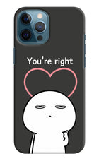 You're Right iPhone 12 Pro Max Hard Case Back Cover by Casekaro
