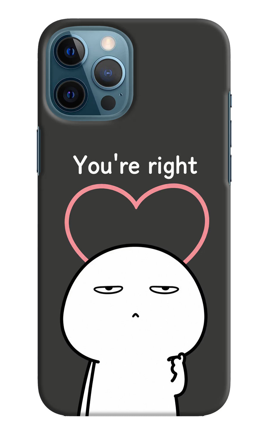 You're Right iPhone 12 Pro Max Back Cover, Hard case