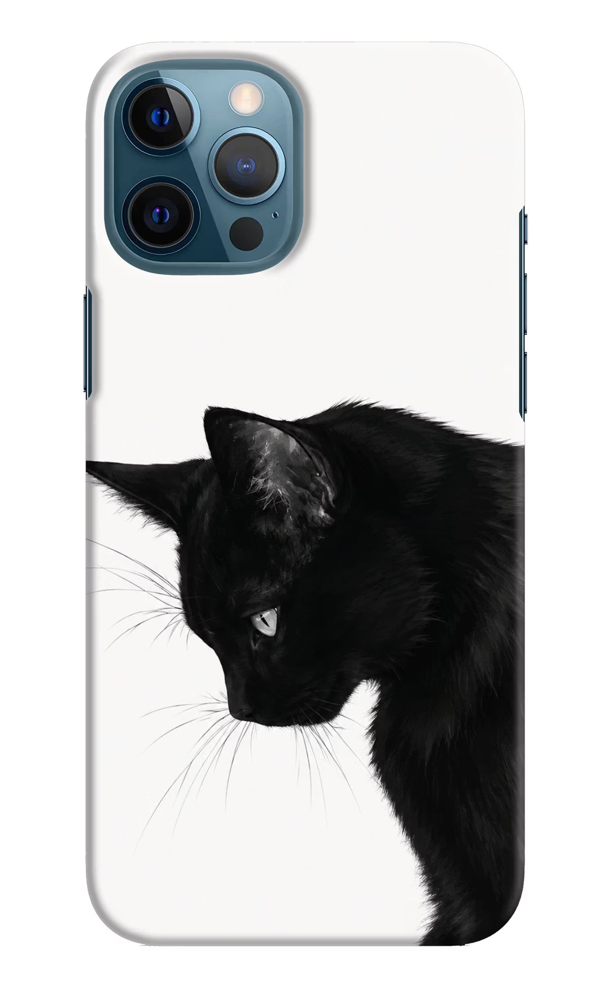 Shadow Gaze iPhone 12 Pro Max Back Cover