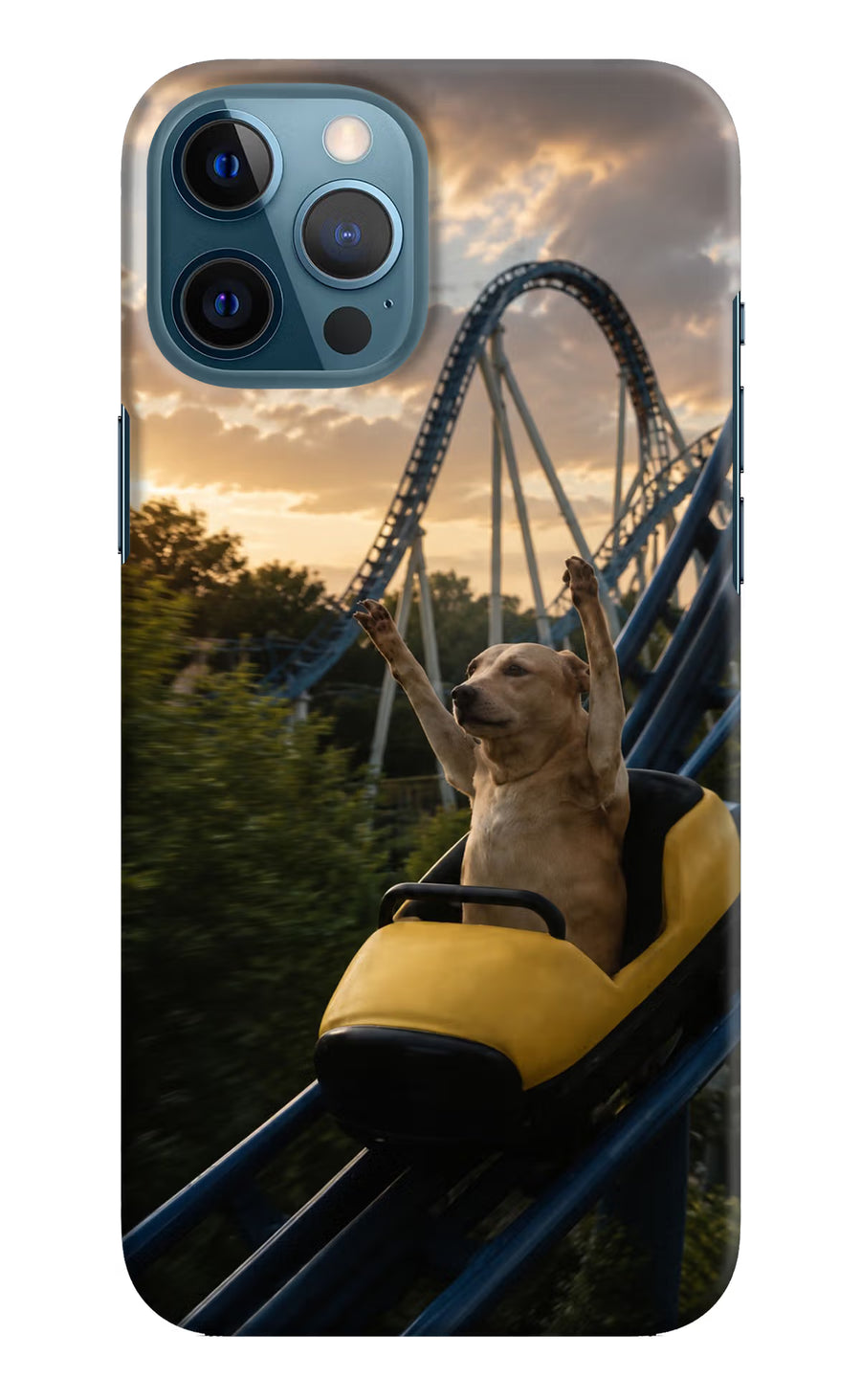 Rollercoaster Dog iPhone 12 Pro Max Back Cover, Hard case