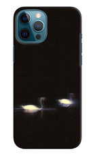 Silent Swans iPhone 12 Pro Max Hard Case Back Cover by Casekaro